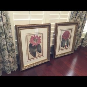 High-end beautiful botanical framed print set